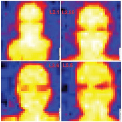 Тепловизионное изображение головы человека с различной оптикой, полученное с помощью ИК термопарной матрицы формата 16x16